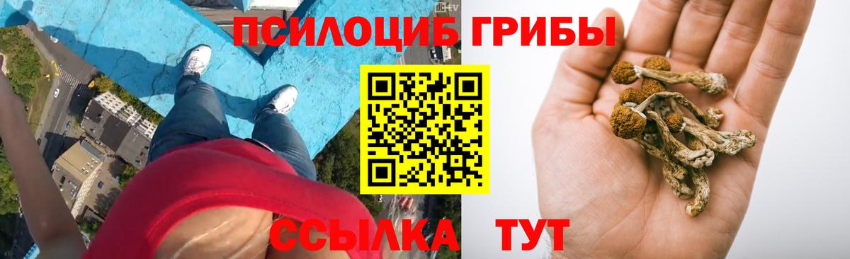 Прокопьевск  Псилоцибиновые грибы Psilocybe  Вход с VPN 