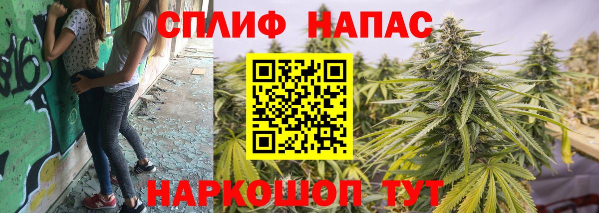 Каннабис план Прокопьевск